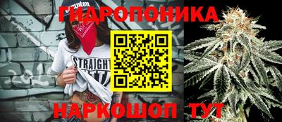 ГАЛЛЮЦИНОГЕННЫЕ ГРИБЫ Краснознаменск