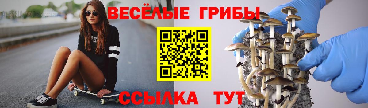 Галлюциногенные грибы прущие грибы Щёлково