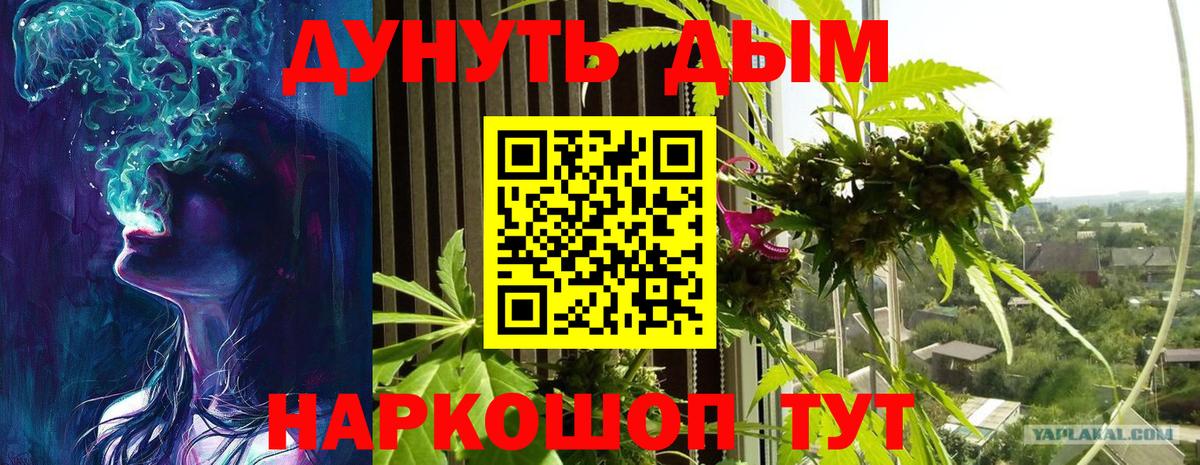 Бошки Шишки THC 21% Щёлково